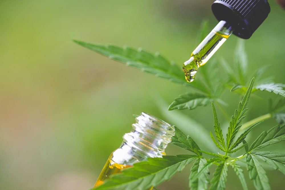 Quels sont les inconvénients du CBD ?
