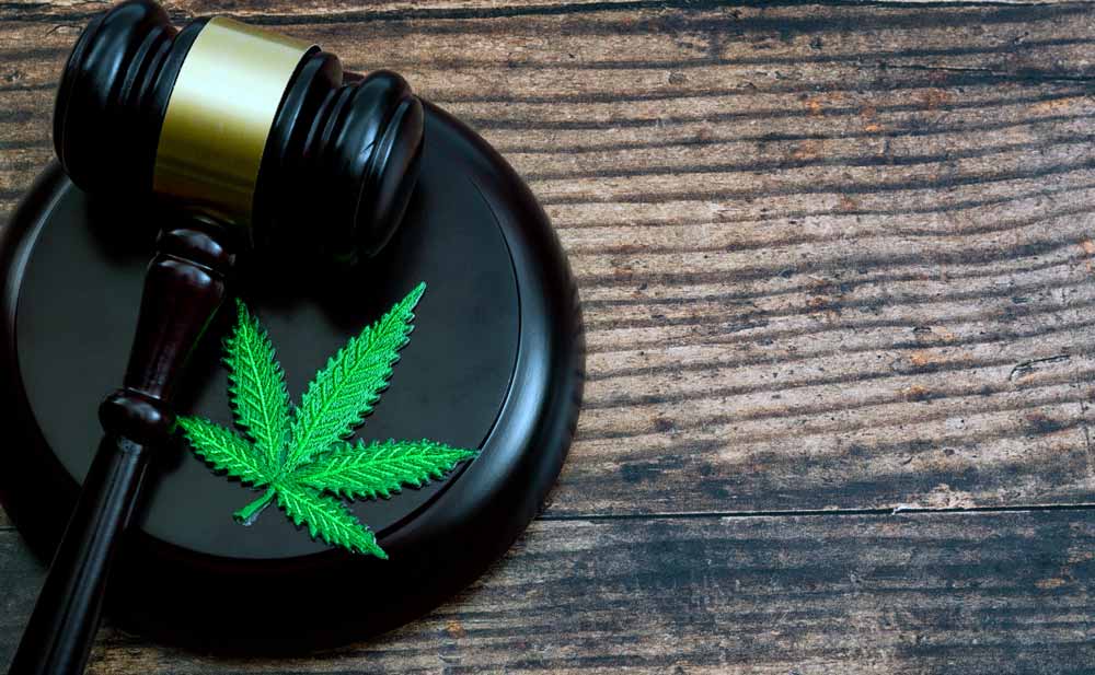 CBD: que dit la legislation en France ?